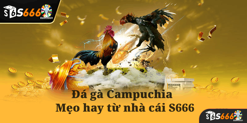 Giới thiệu về đá gà Campuchia