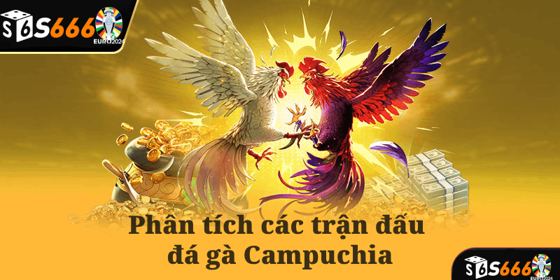 Phân tích các trận đấu đá gà Campuchia